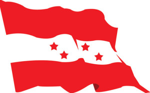 flag-of-nepali-congress
