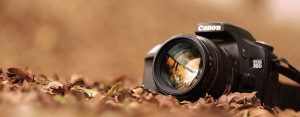 career-in-photography