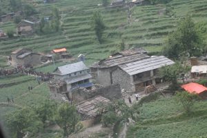 labdung-gau