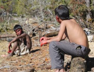kalo_pothi_black_hen_-_h_2016