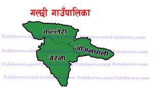 Galchi-gaupalika